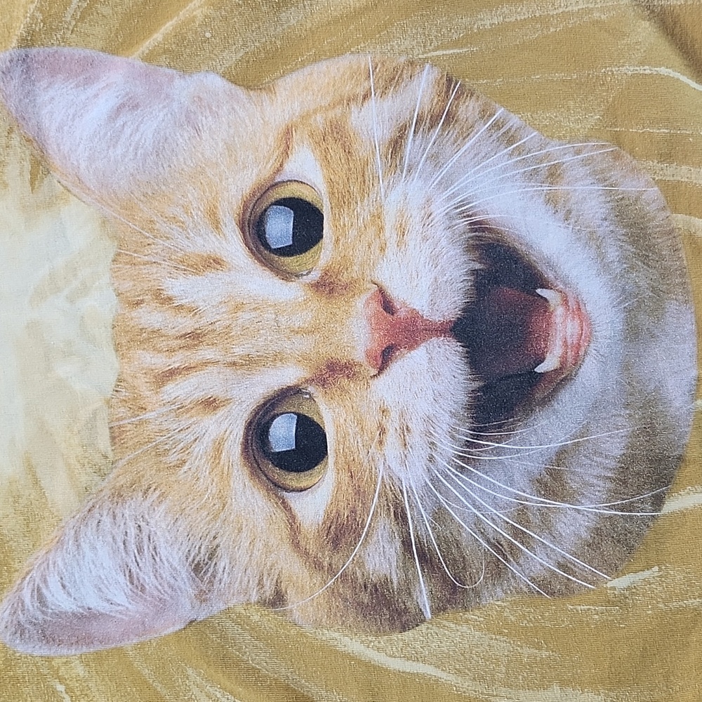 Levis Cat Daddy Graphic T-Shirt in Mustard - Picture 4 of 5